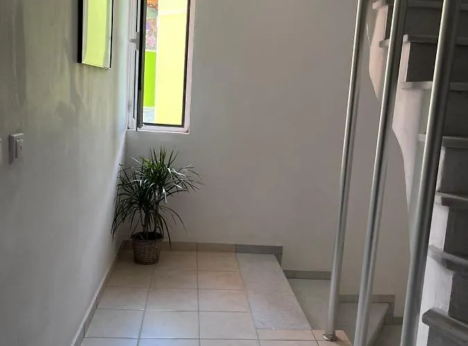 Kleio's * Ληξούρι